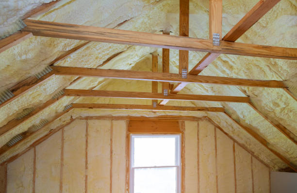 Best Insulation Installation Services in Stockton, IL